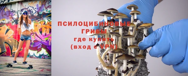 apvp Алексеевка
