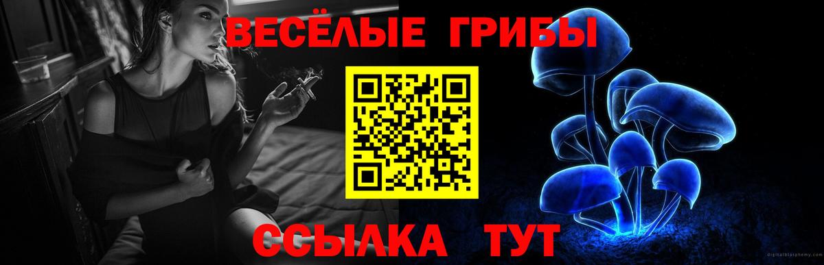 Невинномысск  Псилоцибиновые грибы GOLDEN TEACHER  Псилоцибиновые грибы Magic Shrooms  Вход с VPN 